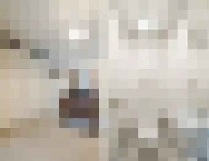 Smeepoortstraat 8 Harderwijk thumbnail 18