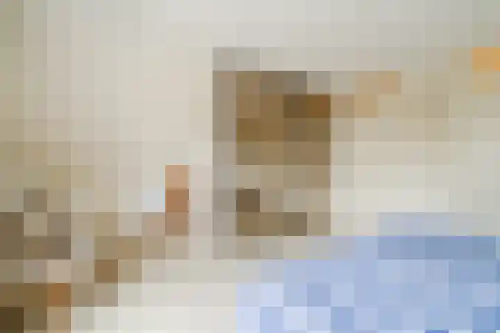 Smeepoortstraat 8 Harderwijk thumbnail 24