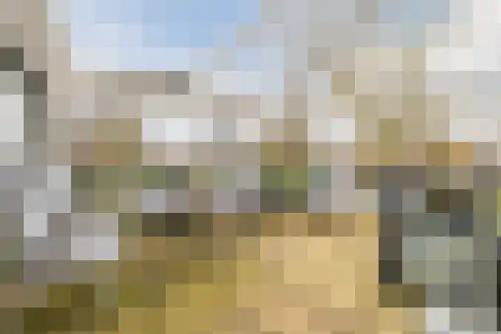Smeepoortstraat 8 Harderwijk thumbnail 37
