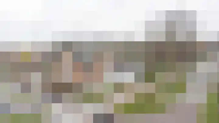 Smeepoortstraat 8 Harderwijk thumbnail 4