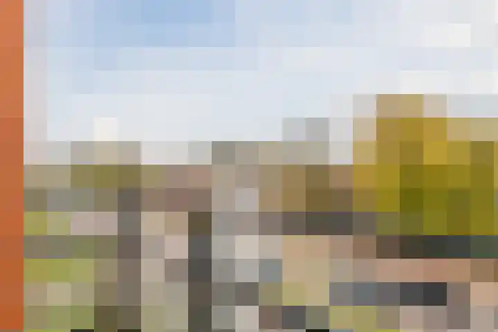 Smeepoortstraat 8 Harderwijk thumbnail 41