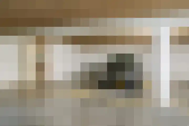 Smeepoortstraat 8 Harderwijk thumbnail 46