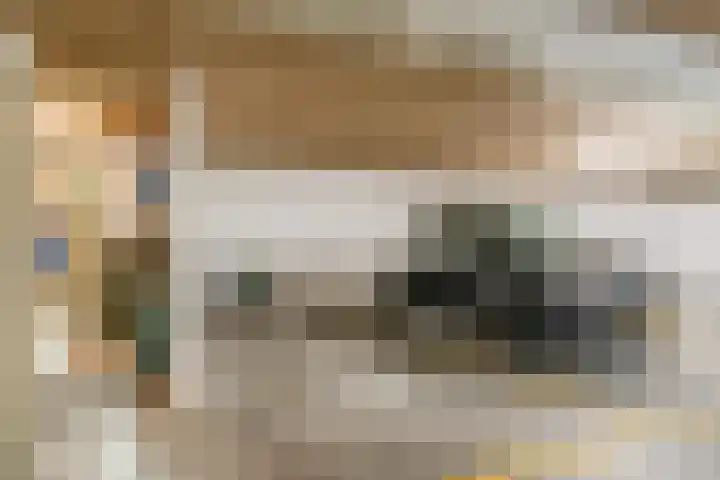 Smeepoortstraat 8 Harderwijk thumbnail 47