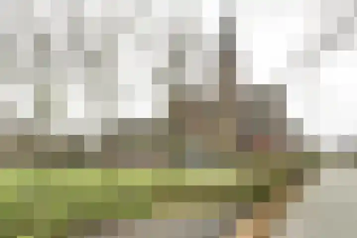 Smeepoortstraat 8 Harderwijk thumbnail 55