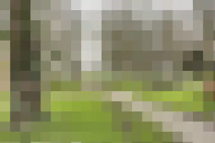 Smeepoortstraat 8 Harderwijk thumbnail 56