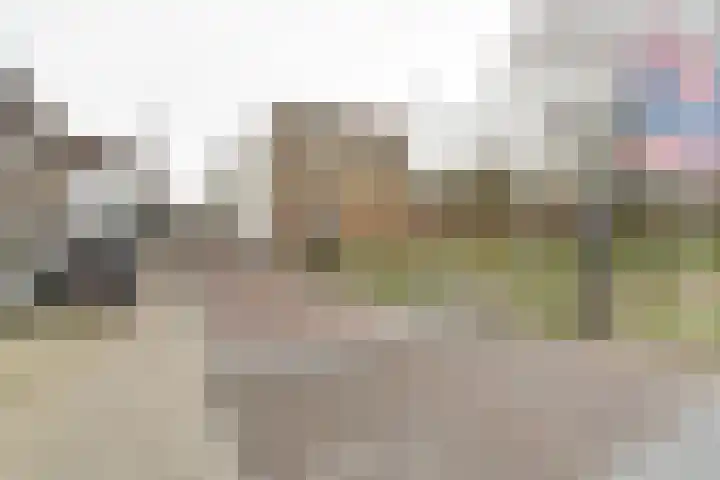 Smeepoortstraat 8 Harderwijk thumbnail 57