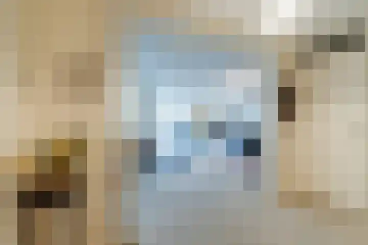 Smeepoortstraat 8 Harderwijk thumbnail 7