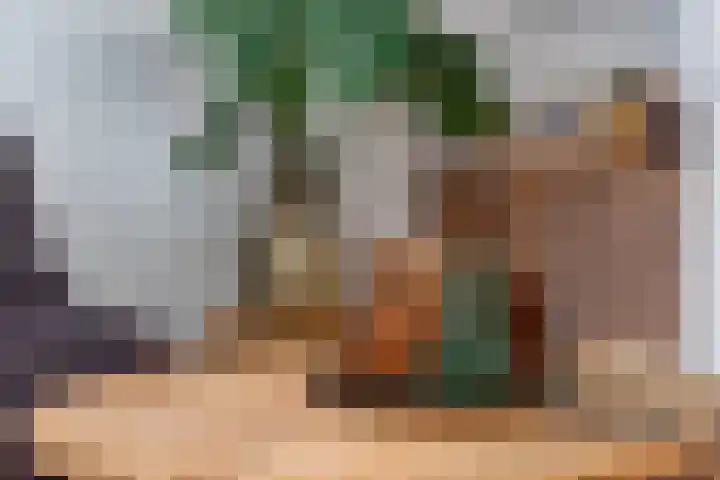 Smeesteeg 19 E Elburg thumbnail 14