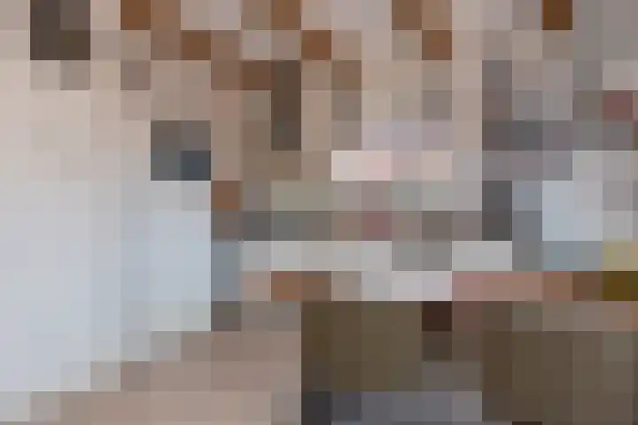 Smeesteeg 19 E Elburg thumbnail 17