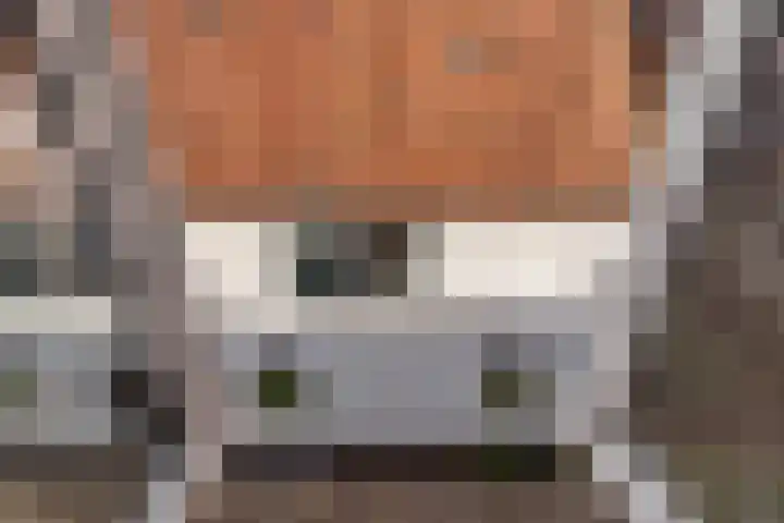 Smeesteeg 19 E Elburg thumbnail 28