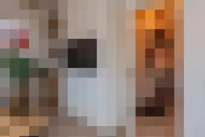Smeesteeg 19 E Elburg thumbnail 29