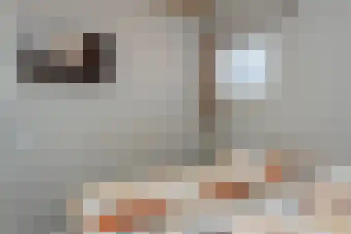 Smeesteeg 19 E Elburg thumbnail 32