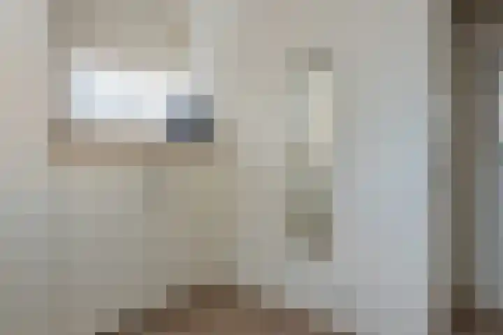 Smeesteeg 19 E Elburg thumbnail 37