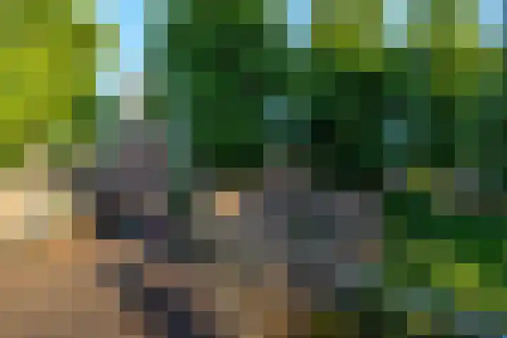 Smeesteeg 19 E Elburg thumbnail 42