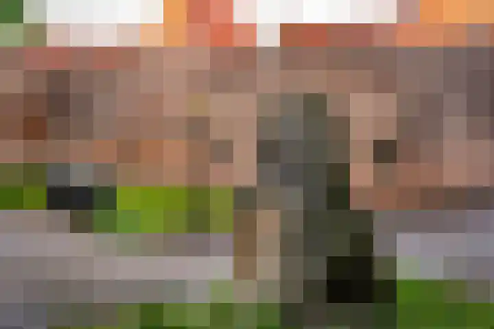 Smeesteeg 19 E Elburg thumbnail 45