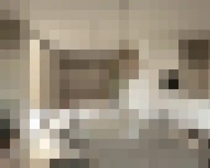 Smeestraat 1 a Stevensweert thumbnail 6