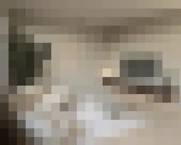 Smeestraat 1 c Stevensweert thumbnail 4
