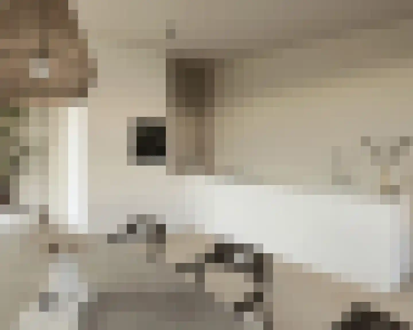 Smeestraat 1 d Stevensweert thumbnail 33