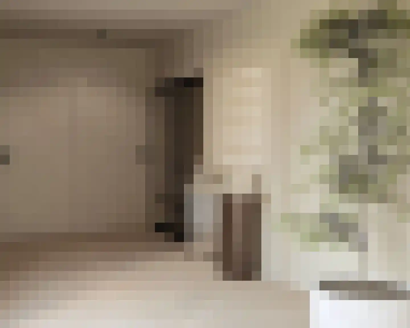 Smeestraat 1 d Stevensweert thumbnail 35
