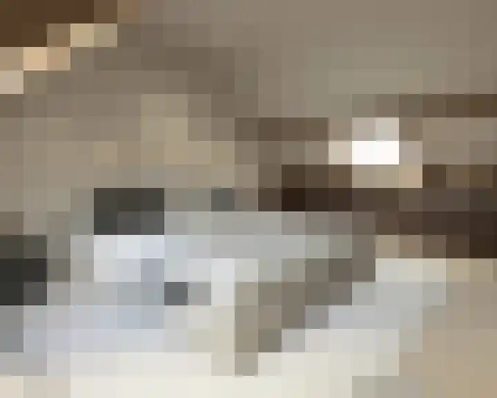 Smeestraat 1 e Stevensweert thumbnail 10