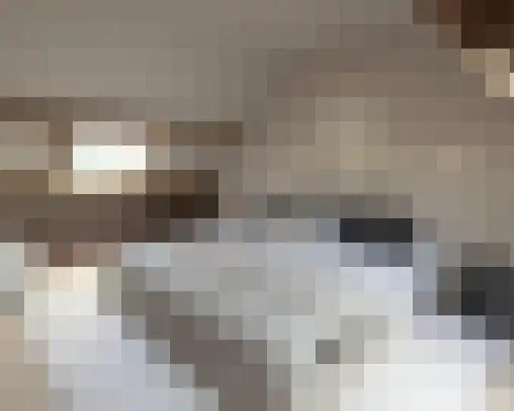 Smeestraat 1 e Stevensweert thumbnail 9