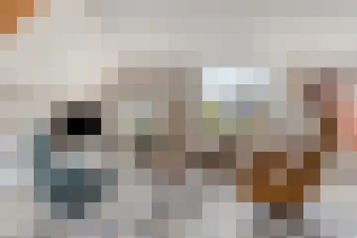 Smeestraat 1 Veessen thumbnail 10