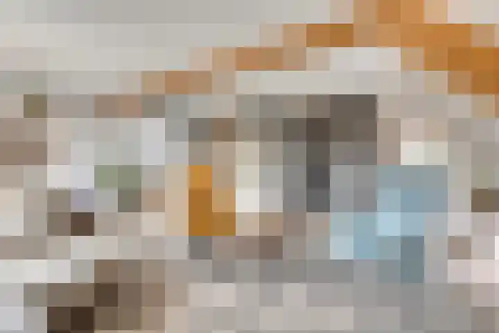 Smeestraat 1 Veessen thumbnail 11