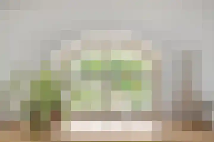 Smeestraat 1 Veessen thumbnail 12