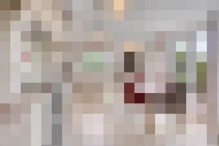 Smeestraat 1 Veessen thumbnail 13