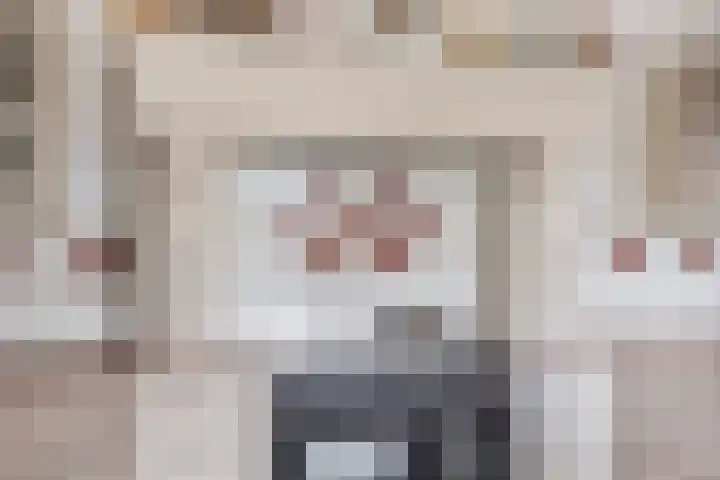 Smeestraat 1 Veessen thumbnail 16