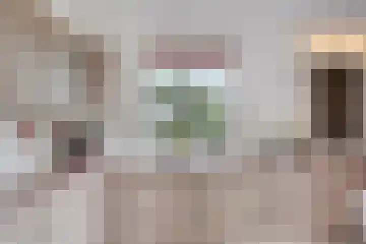 Smeestraat 1 Veessen thumbnail 17