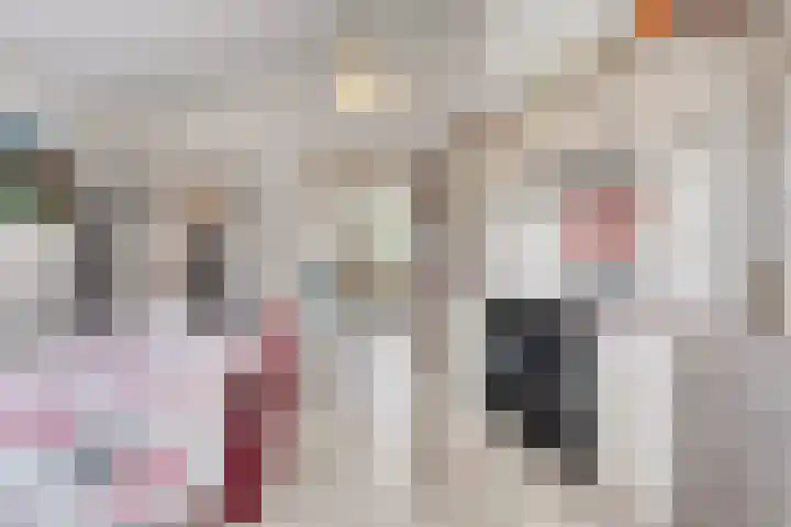 Smeestraat 1 Veessen thumbnail 18