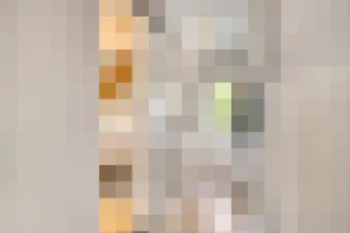 Smeestraat 1 Veessen thumbnail 19