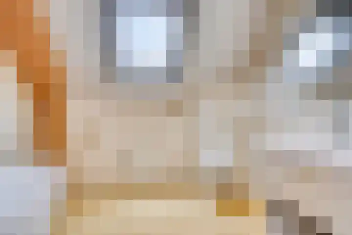 Smeestraat 1 Veessen thumbnail 20