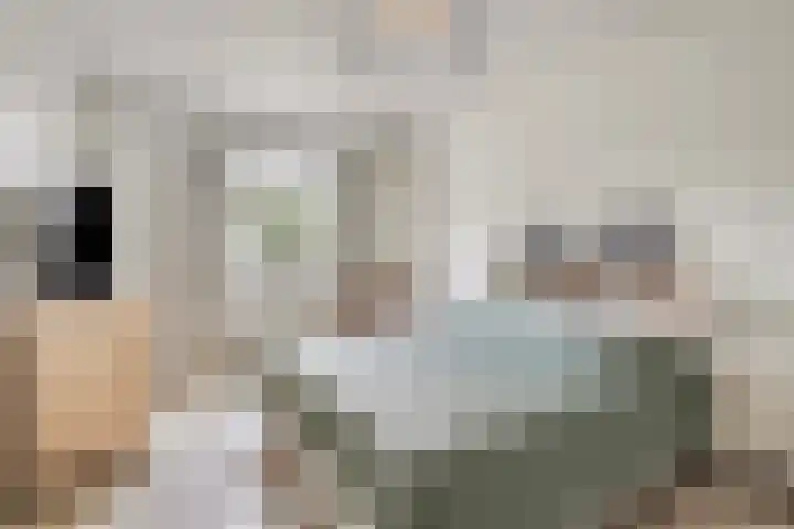 Smeestraat 1 Veessen thumbnail 22