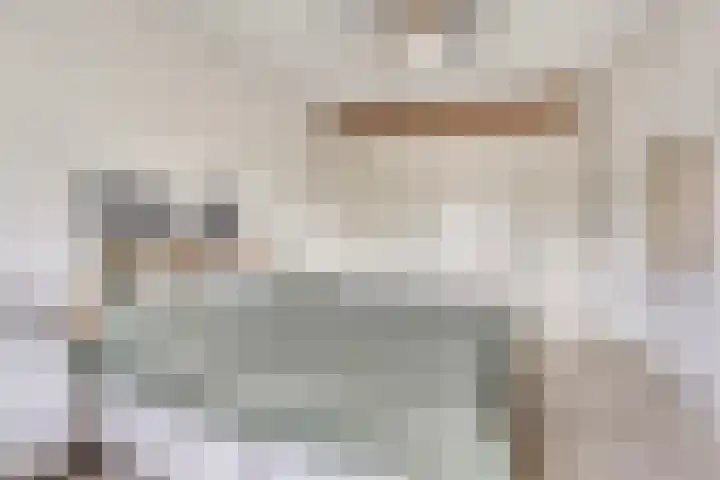 Smeestraat 1 Veessen thumbnail 23