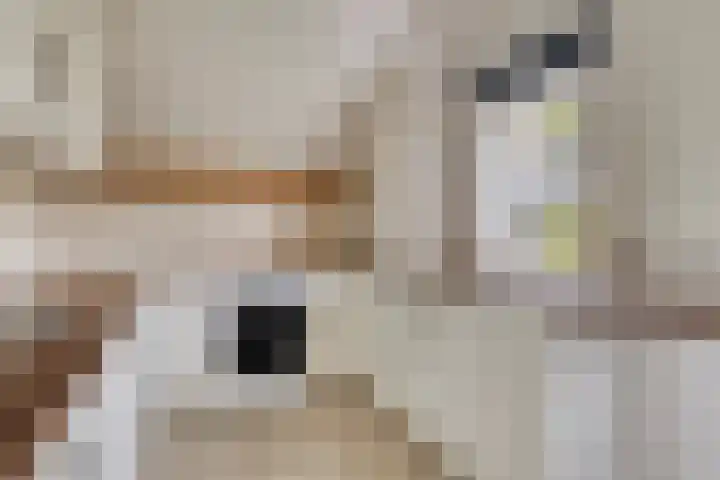 Smeestraat 1 Veessen thumbnail 24