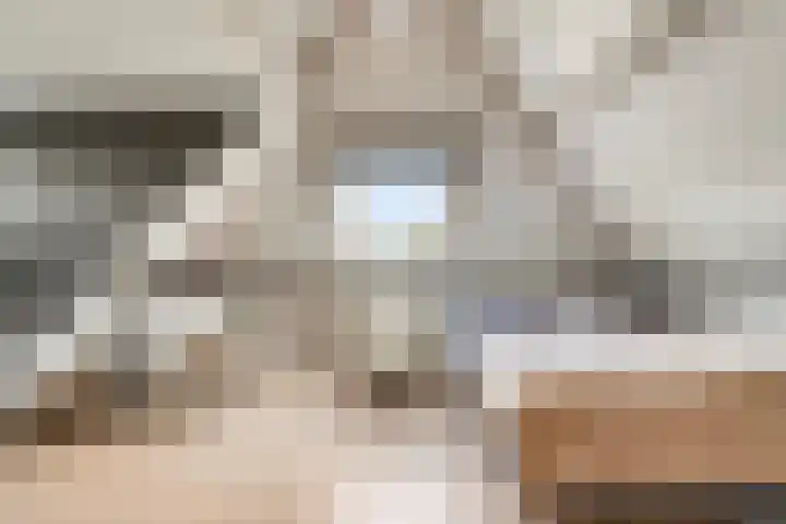 Smeestraat 1 Veessen thumbnail 28