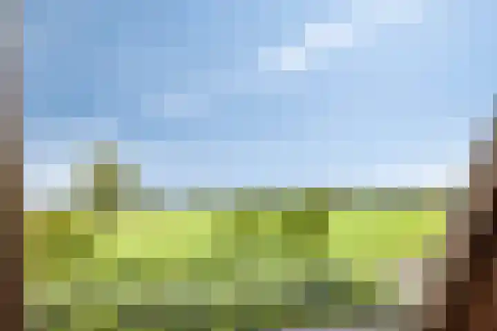 Smeestraat 1 Veessen thumbnail 29