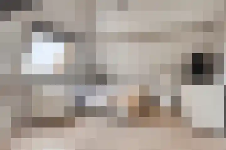 Smeestraat 1 Veessen thumbnail 30