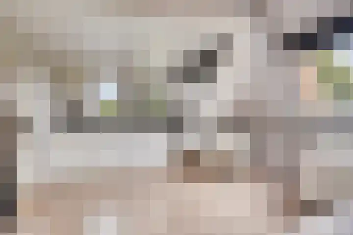 Smeestraat 1 Veessen thumbnail 31