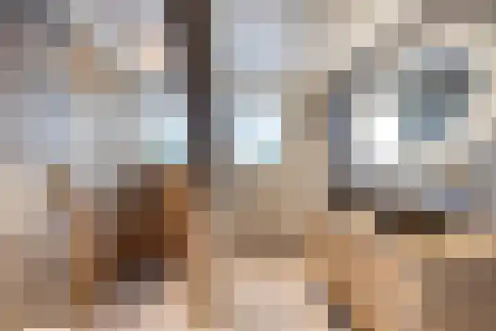 Smeestraat 1 Veessen thumbnail 32
