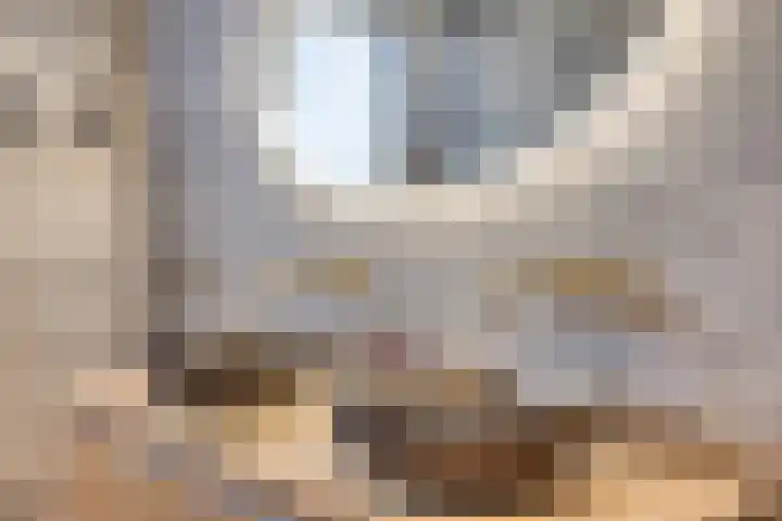 Smeestraat 1 Veessen thumbnail 33