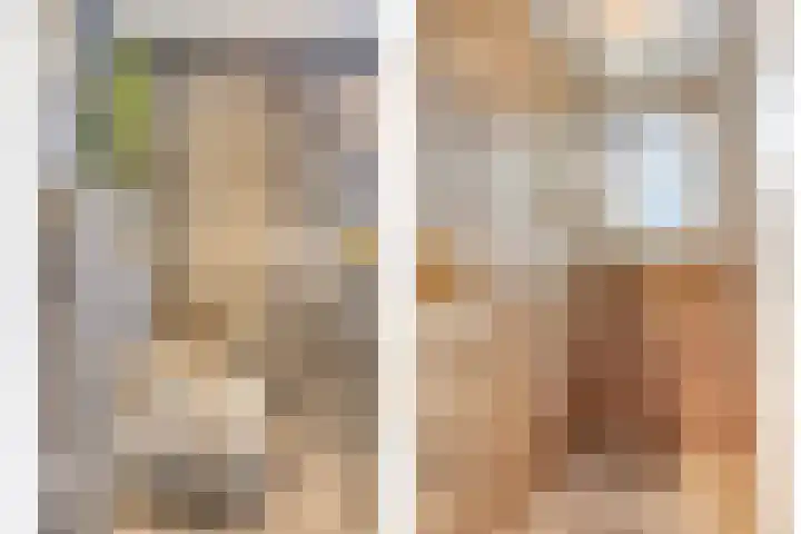 Smeestraat 1 Veessen thumbnail 34