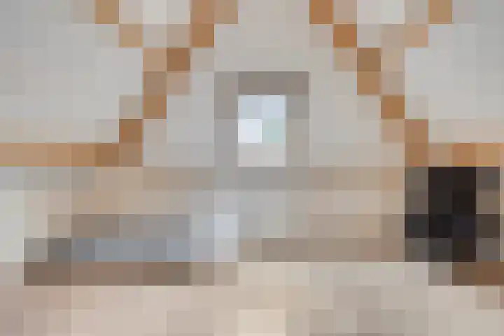 Smeestraat 1 Veessen thumbnail 35