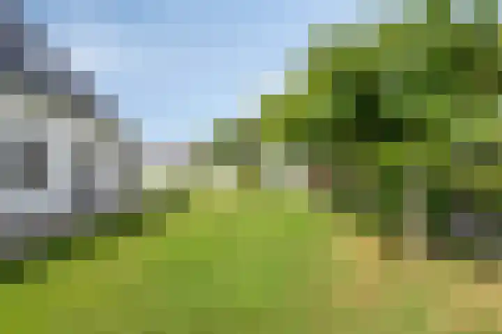 Smeestraat 1 Veessen thumbnail 39