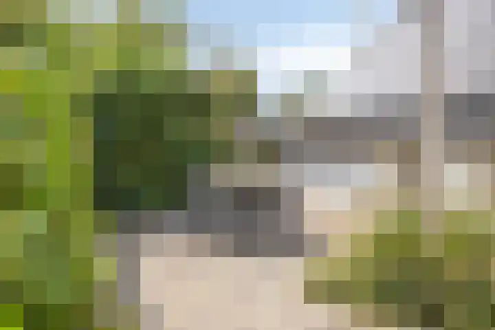 Smeestraat 1 Veessen thumbnail 40