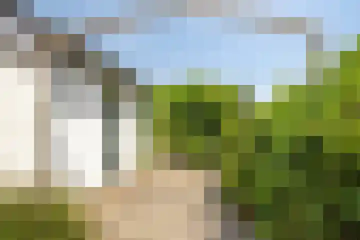 Smeestraat 1 Veessen thumbnail 41
