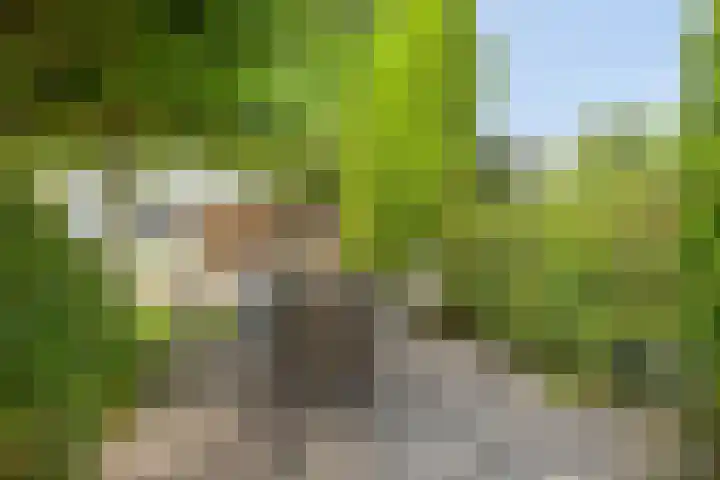Smeestraat 1 Veessen thumbnail 42