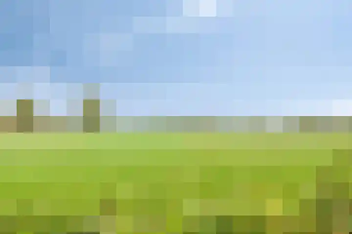 Smeestraat 1 Veessen thumbnail 43